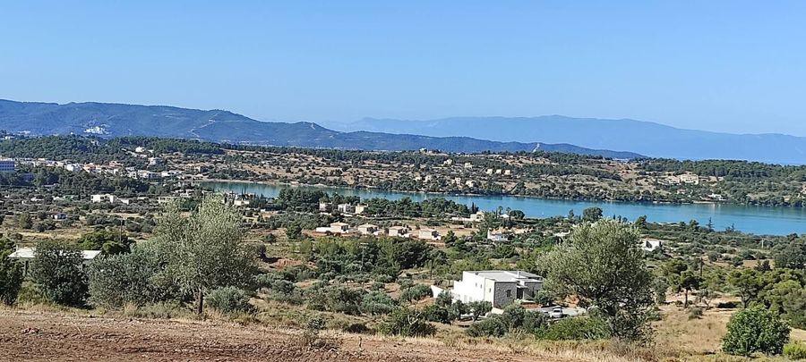 Αγροτεμάχια 39.896 τ.μ. προς πώληση, Βερβερούδα