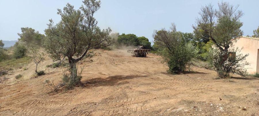 Αγροτεμάχια 39.896 τ.μ. προς πώληση, Βερβερούδα