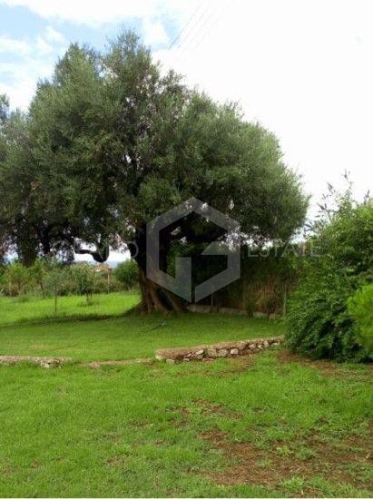 Μονοκατοικία 140 τ.μ. πρός πώληση, Αιτωλοακαρνανία, Αντίρριο
