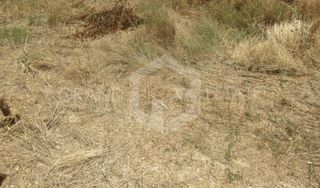 Οικόπεδο 1.171 τ.μ. για πώληση