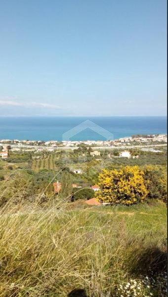 Οικόπεδο 7.500 τ.μ. προς πώληση, Γελινιάτικα