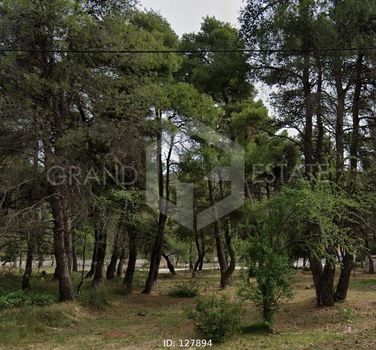 Οικόπεδο 936τ.μ. για πώληση-Διόνυσος » Κέντρο