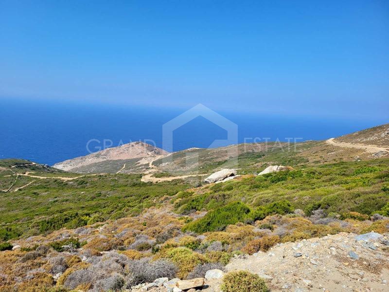Οικόπεδο 120.000 τ.μ. προς πώληση, Χώρα Άνδρου