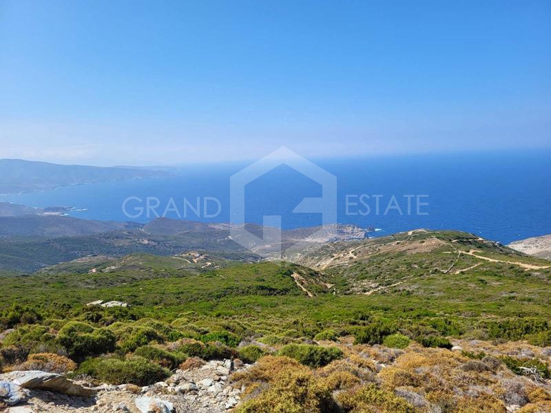 Οικόπεδο 120.000 τ.μ. προς πώληση, Χώρα Άνδρου