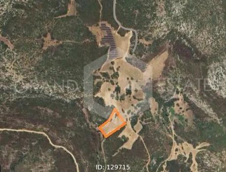 Land plot 29.000sqm for sale-Grammatiko » Grammatiko - Center