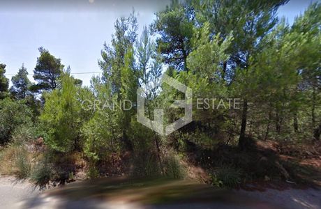 Land plot 2.005sqm for sale-Afidnes » Agia Triada