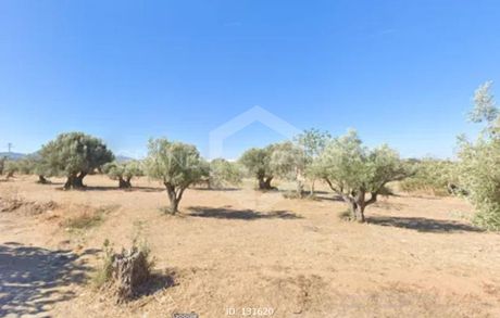 Parcel 5.350sqm for sale-Metamorfosi » Mpofilia