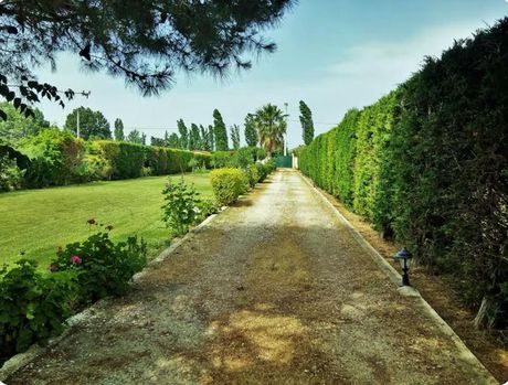 Detached home 65sqm for sale-Marathonas » Agios Panteleimonas