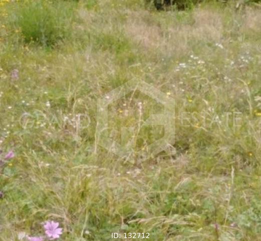 Οικόπεδο 4.142 τ.μ. προς πώληση, Πευκοχώρι
