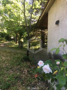 Detached home 72sqm for sale-Parnassos » Polidrosos