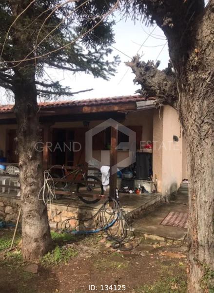 Μονοκατοικία 72 τ.μ. προς πώληση, Φωκίδα, Παρνασσός
