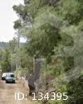 Land plot 500sqm for sale-Anoixi » Center