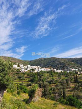 Parcel 4.000sqm for sale-Andros » Korthio