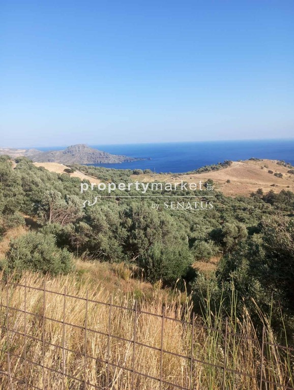Οικόπεδο 5.200 τ.μ. πρός πώληση, Ν. Ρεθύμνου, Φοινίκας