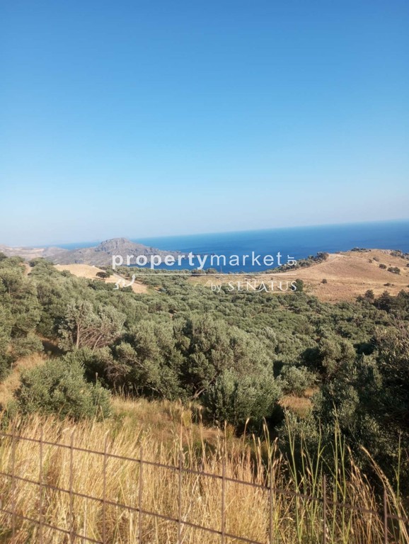 Οικόπεδο 5.200 τ.μ. πρός πώληση, Ν. Ρεθύμνου, Φοινίκας