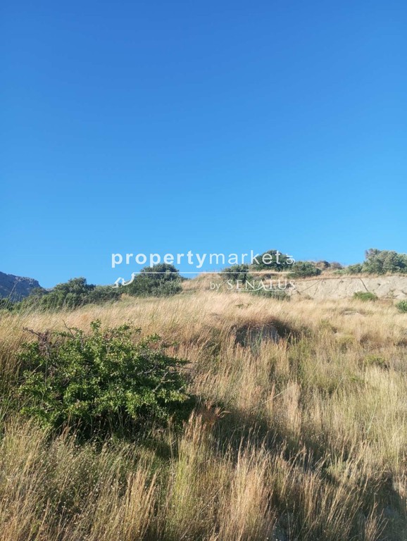 Οικόπεδο 5.200 τ.μ. πρός πώληση, Ν. Ρεθύμνου, Φοινίκας