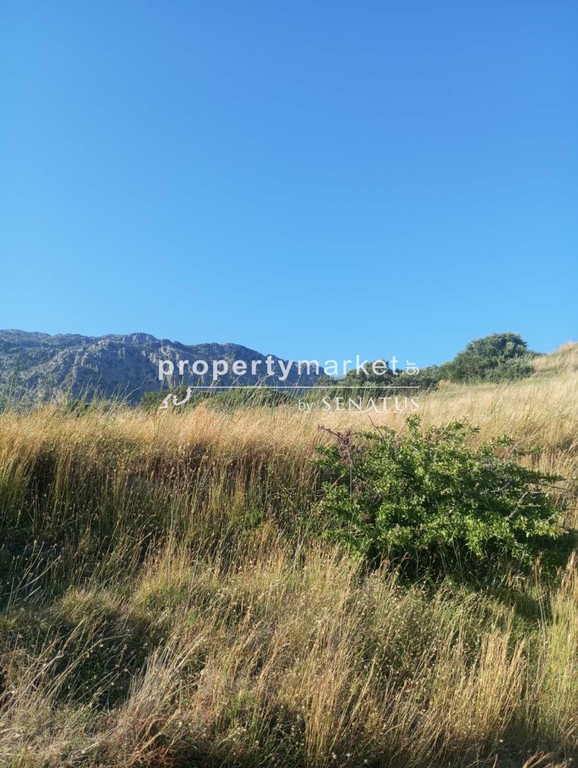 Οικόπεδο 5.200 τ.μ. πρός πώληση, Ν. Ρεθύμνου, Φοινίκας