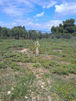 Land plot 380sqm for sale-Aegina » VaΐA