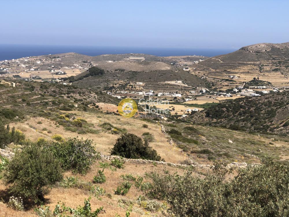 Αγροτεμάχια 4.819 τ.μ. προς πώληση, Έλητας