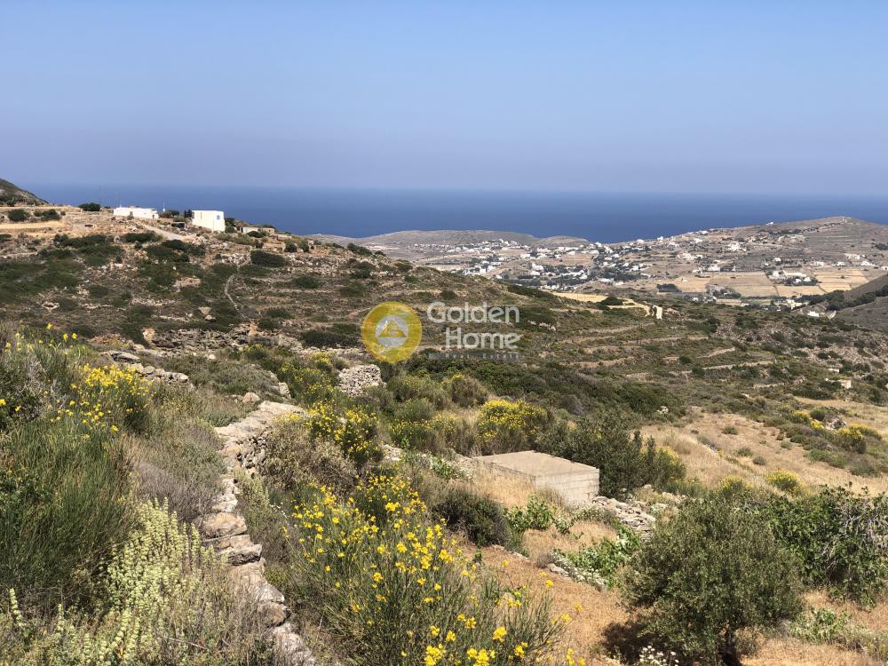 Αγροτεμάχια 4.819 τ.μ. προς πώληση, Έλητας