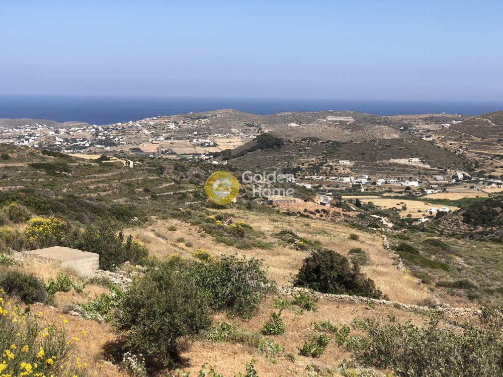 Αγροτεμάχια 4.819 τ.μ. προς πώληση, Έλητας