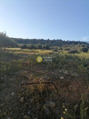 Οικόπεδο 1.180 τ.μ. για πώληση