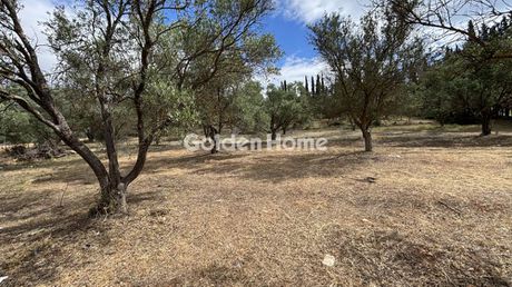 Parcel 7.467sqm for sale-Rafina » Kalitexnoupoli