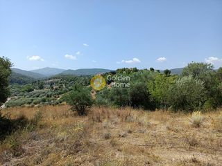 Αγροτεμάχια 1.100 τ.μ. για πώληση
