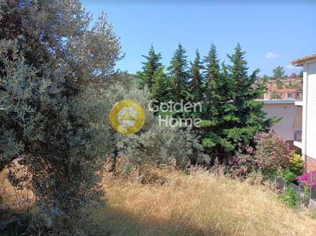 Parcel 1.100sqm for sale-Com. Skalas Oropou » Skala Oropou