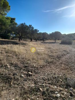 Parcel 8.780sqm for sale-Keratea » Charvalo