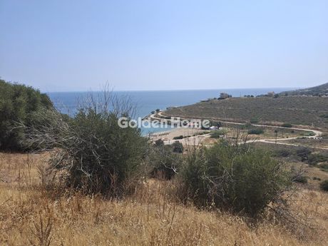 Αγροτεμάχια 1.668τ.μ. για πώληση-Κερατέα » Παραλία δασκαλειού