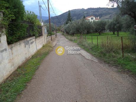 Αγροτεμάχια 2.400τ.μ. για πώληση-Αίγιο » Σωτήρας
