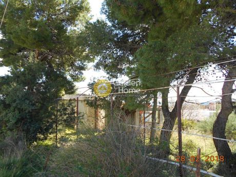 Αγροτεμάχια 547τ.μ. για πώληση-Σπάτα » Αγία κυριακή