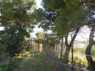 Αγροτεμάχια 547 τ.μ. για πώληση