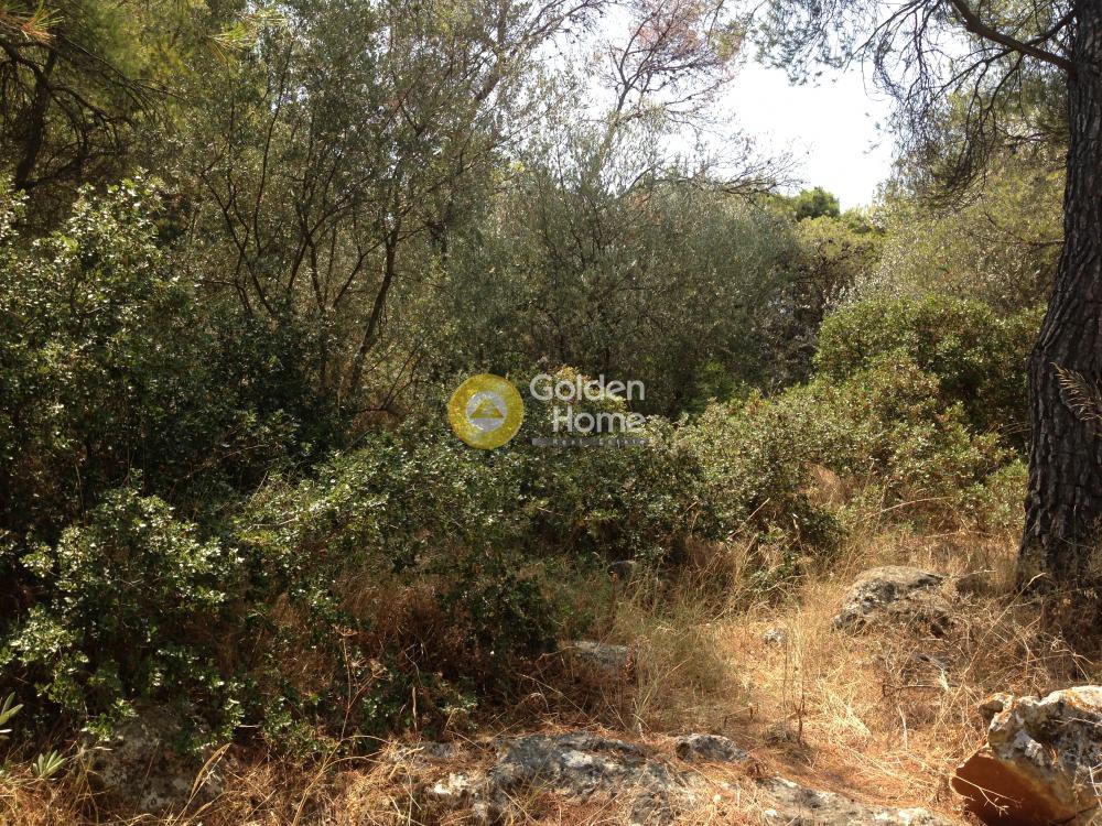 Οικόπεδο 780 τ.μ. προς πώληση, Κάντζα