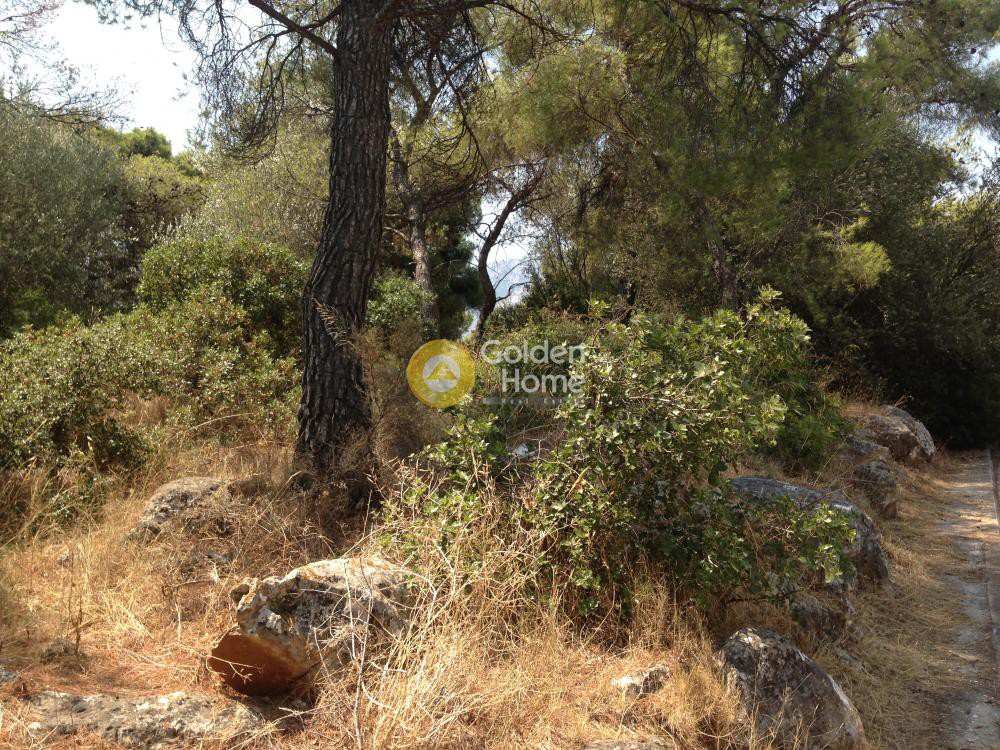 Οικόπεδο 780 τ.μ. προς πώληση, Κάντζα