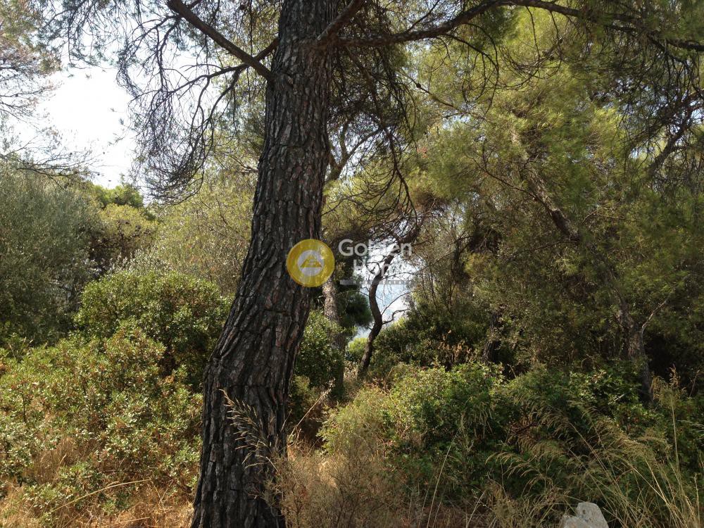 Οικόπεδο 780 τ.μ. προς πώληση, Κάντζα