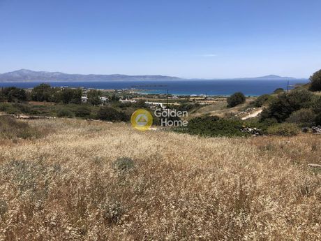 Αγροτεμάχια 8.200τ.μ. για πώληση-Πάρος » Τζάνες