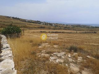 Αγροτεμάχια 8.633 τ.μ. για πώληση