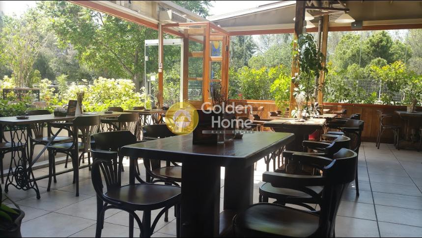 Επιχείρηση 300 τ.μ. πρός πώληση, Μαγνησία, Βόλος