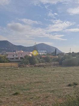 Οικόπεδο 639τ.μ. για πώληση-Σαλαμίνα » Αιάντειο