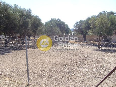 Αγροτεμάχια 538τ.μ. για πώληση-Κορωπί » Άγιος δημήτριος