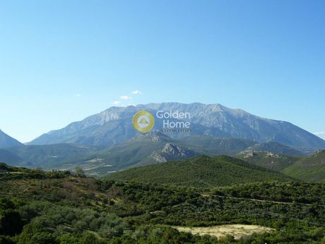 Οικόπεδο 15.300τ.μ. για πώληση-Ανδρίτσαινα » Σέκουλας
