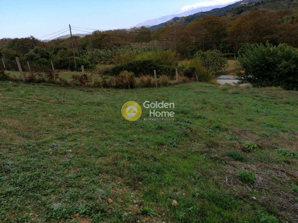 Αγροτεμάχια 2.400 τ.μ. προς πώληση, Νεροτριβιά