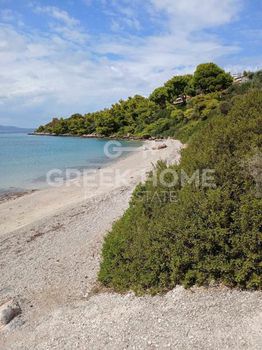 Οικόπεδο 7.500τ.μ. για πώληση-Μαλεσίνα » Θεολόγος