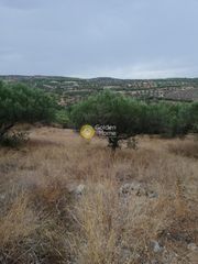 Οικόπεδο 2.023 τ.μ. για πώληση