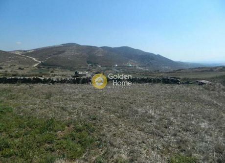 Αγροτεμάχια 8.919 τ.μ. προς πώληση