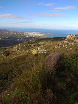 Αγροτεμάχια 22.037τ.μ. για πώληση-Σητεία » Κάτω δρυς