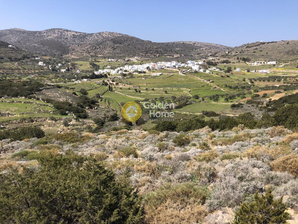 Αγροτεμάχια 12.788 τ.μ. προς πώληση, Κώστος