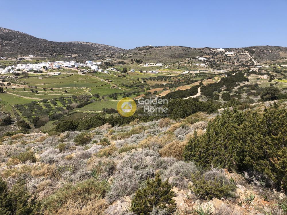 Αγροτεμάχια 12.788 τ.μ. προς πώληση, Κώστος